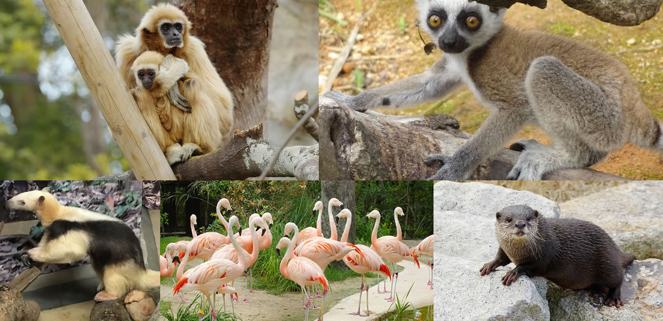 ときわ動物園写真