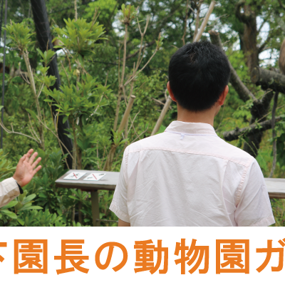 ときわ動物園長 ドクター宮下の動物園ガイド