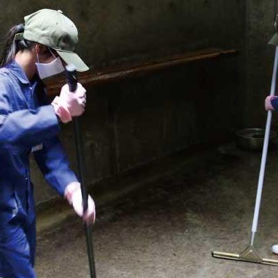 なりきり飼育員~あなたも1日飼育員~