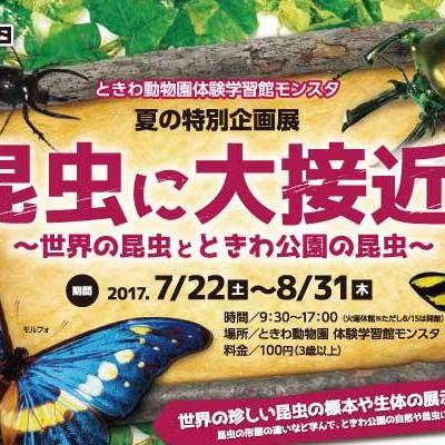 昆虫に大接近~世界の昆虫とときわ公園の昆虫~