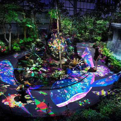 チームラボ 宇部市ときわ公園2017 世界を旅する植物に住まう生き物たち