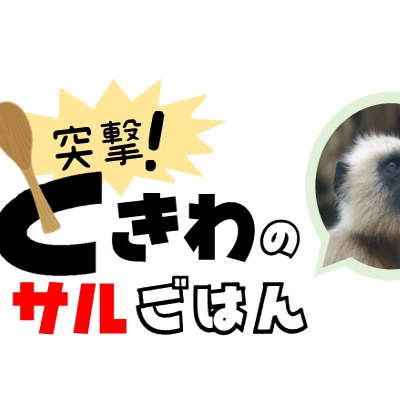 突撃!ときわのサルごはん 第3回ハヌマンラングールの緑のごはん