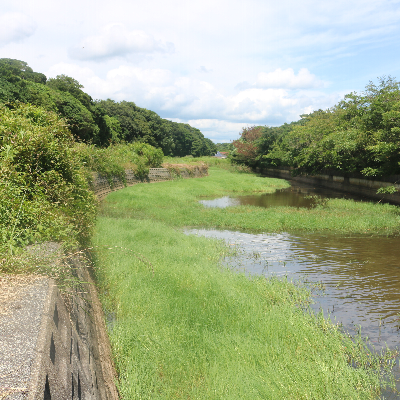 常盤湖水生生物観察会~常盤湖のいきものを調べてみよう!~