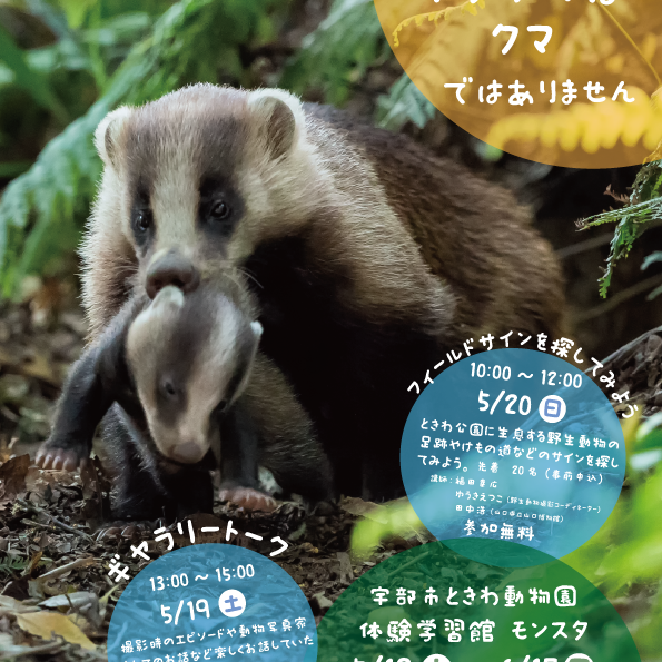 写真展「アナグマはクマではありません」