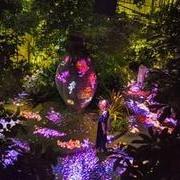 チームラボ 宇部市ときわ公園 2018 世界を旅する植物と、花と共に生きる動物たち