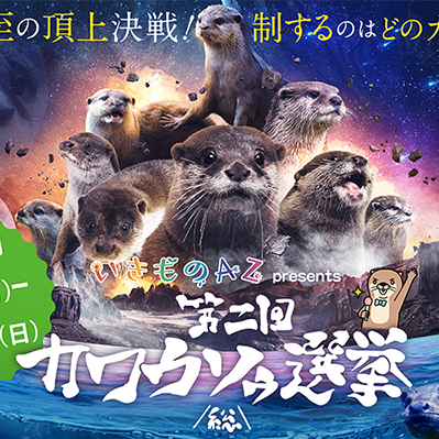 第2回カワウソゥ選挙 ときわ動物園からエントリーしています!