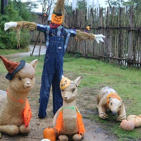 ときわ動物園でハロウィン写真を撮ろう!