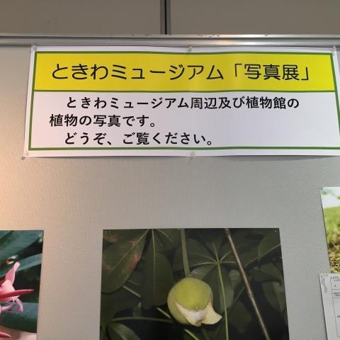 ときわミュージアム「写真展」