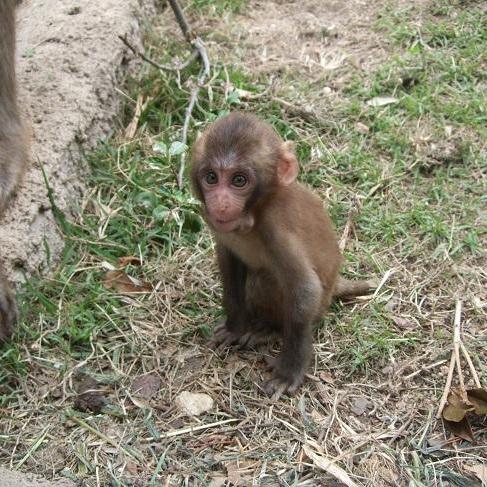節分の日イベント~動物たちに豆や恵方巻のプレゼント~