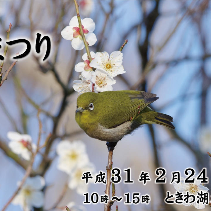 梅まつり