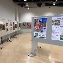 動物写真家 内山 晟 写真展~野生の秘島ガラパゴス~