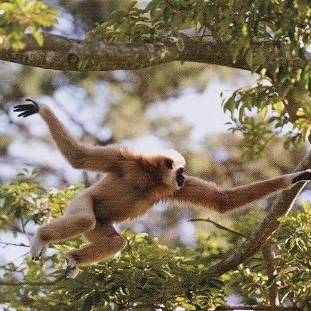動物写真講座 親子で挑戦!一眼レフカメラで動物写真を撮ろう!
