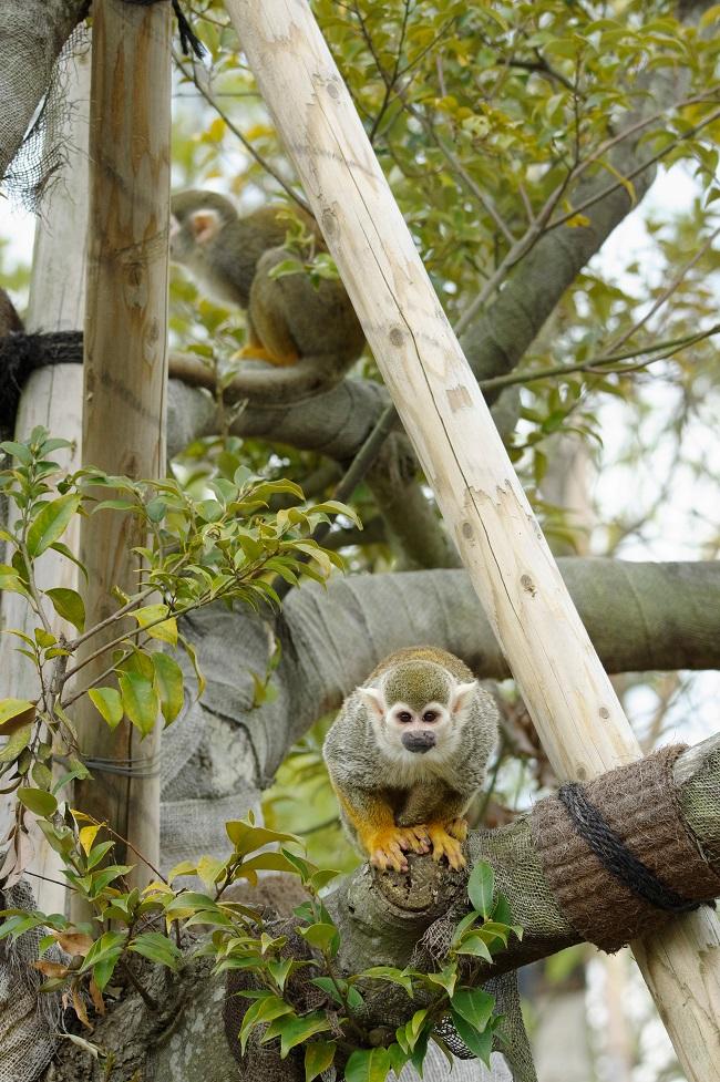 ときわ公園ときわ公園ときわ動物園