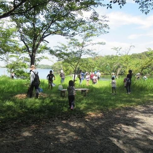 昆虫観察会~見つけようときわ公園の昆虫~