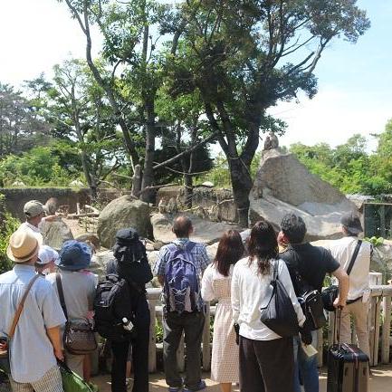 サマーフェスタ!夕方の動物園を歩く特別たそがれガイドツアー