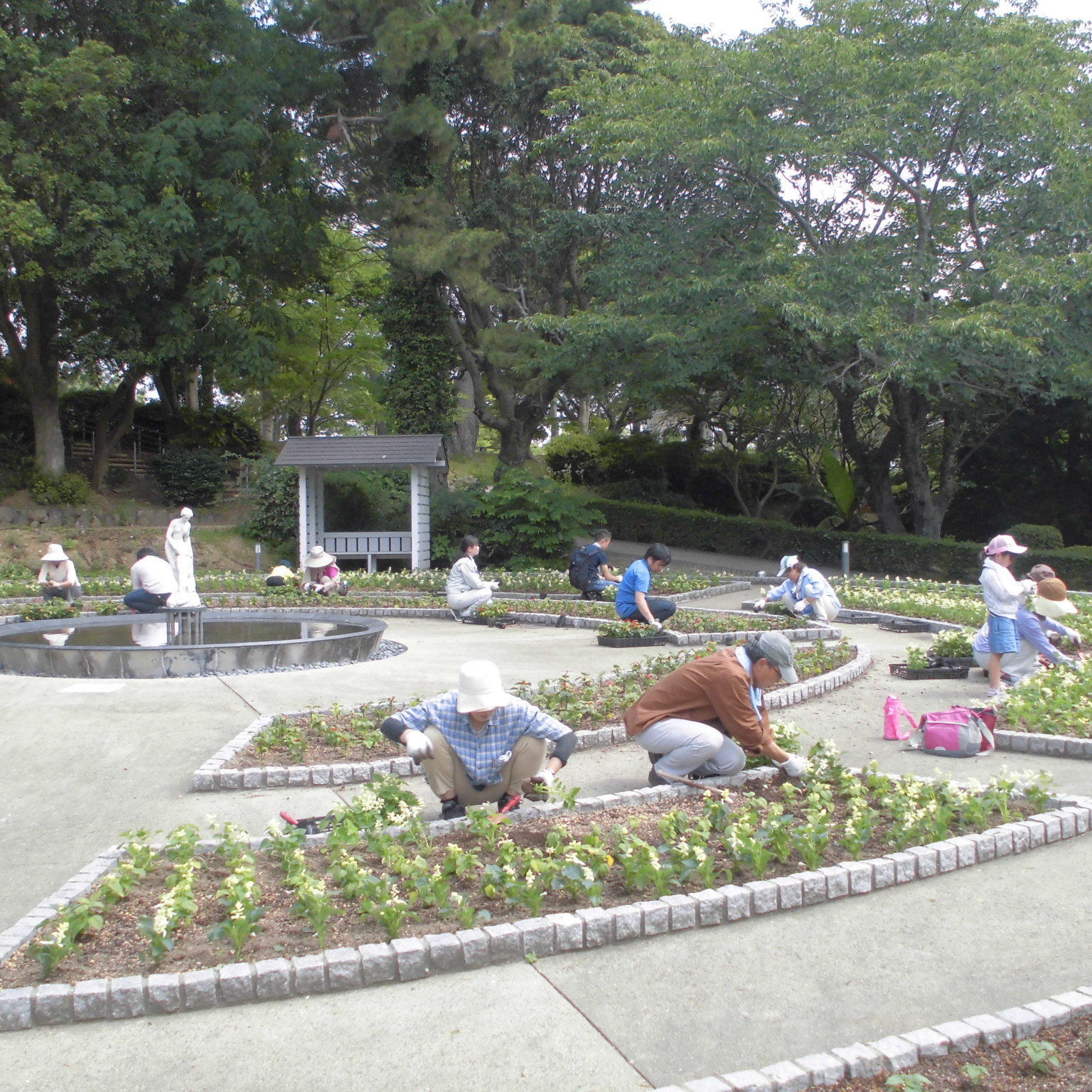 市民ボランティアによるガーデンづくり~花植えイベント~