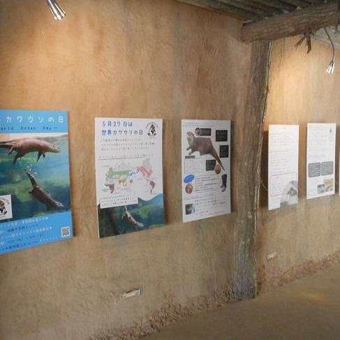 世界カワウソの日パネル展示