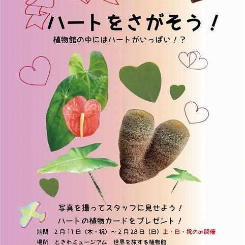 植物館クイズ企画「ハートをさがそう!」