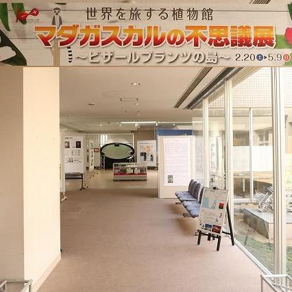 企画展「マダガスカルの不思議展~ビザールプランツの島~」