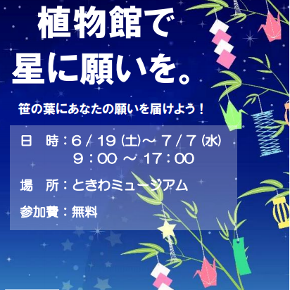 七夕イベント「植物館で星に願いを」