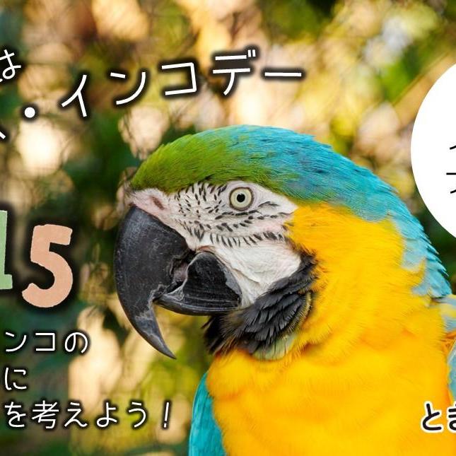 オウム・インコデー特別イベント