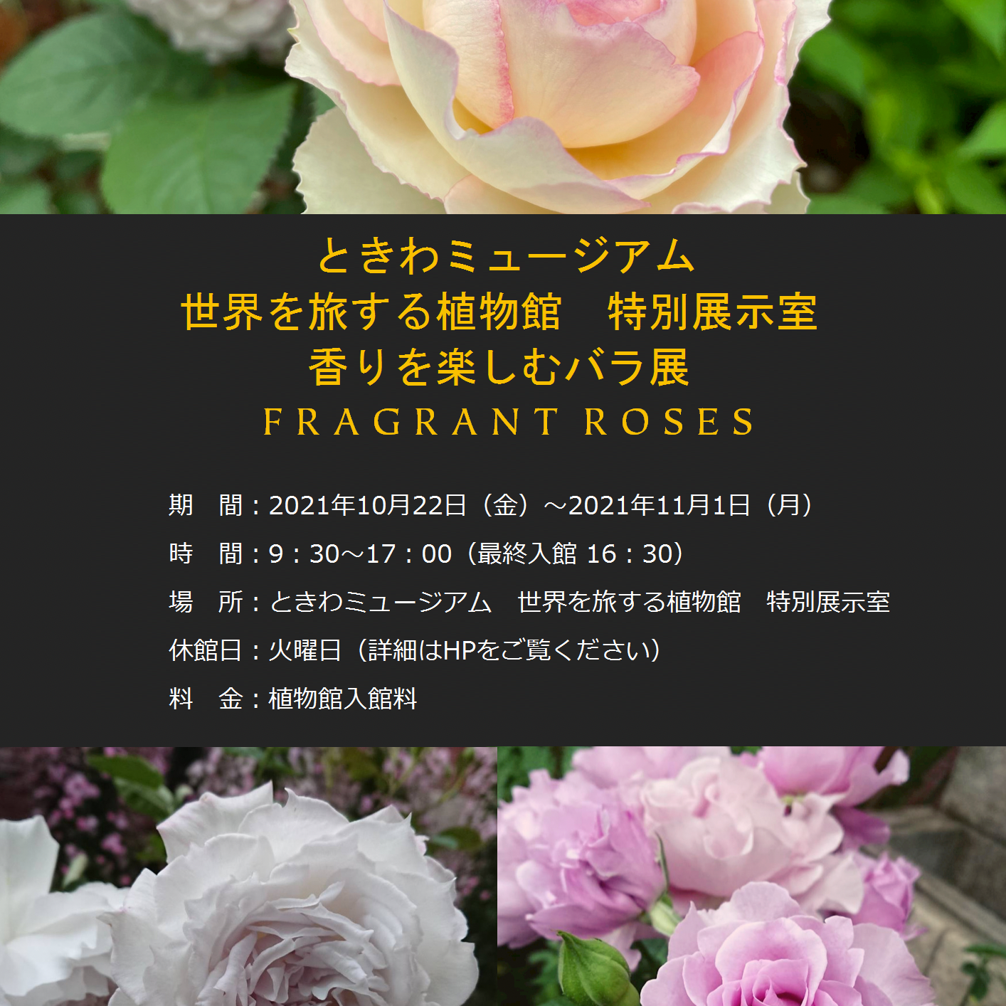 香りを楽しむバラ展