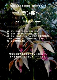 ラン展　～ラン旅～　orchid journey　