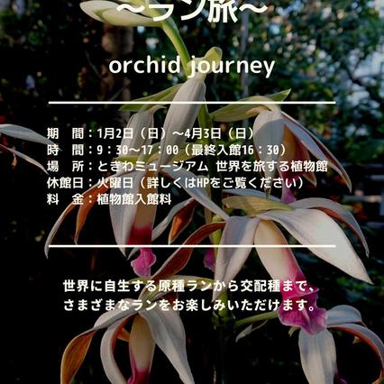 ラン展　～ラン旅～　orchid journey　