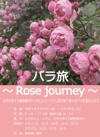 バラ旅　～Rose journey～　