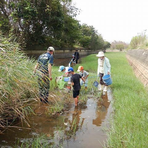 常盤湖の水生生物観察会