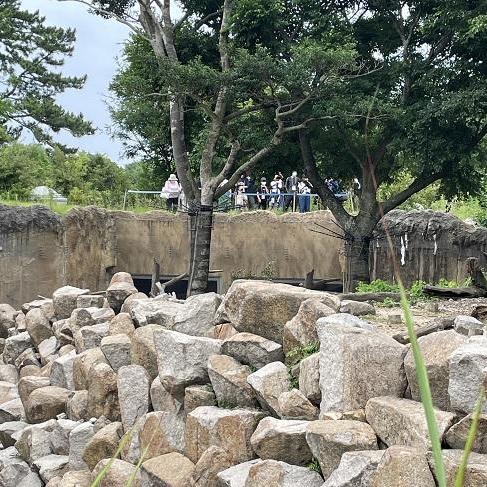 あさイチのイベント『おはよう!動物ガイド』