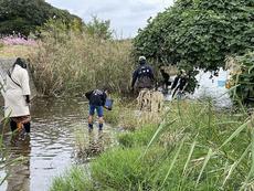 常盤湖の水生生物観察会