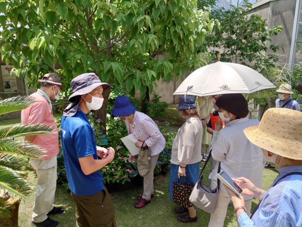ときわ公園開設100周年記念TOKIWAサマーナイト