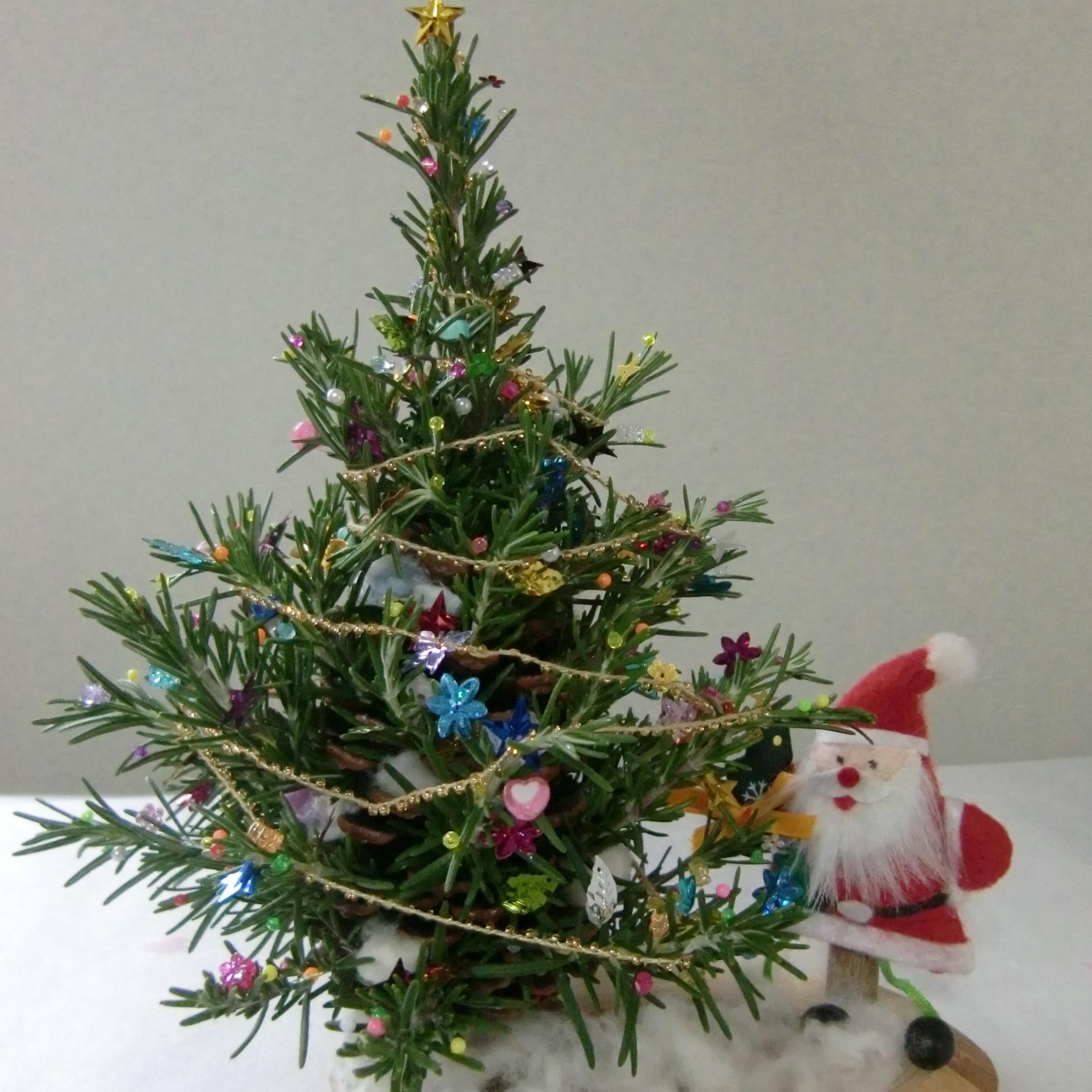ハーブ講座「松ぼっくりを使ったミニクリスマスツリー」づくり(12月1日~受付開始)