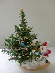 ハーブ講座「松ぼっくりを使ったミニクリスマスツリー」づくり（１２月１日～受付開始）