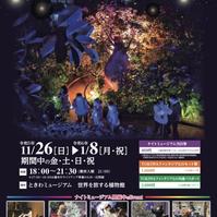 世界を旅する植物館「ナイトミュージアム」