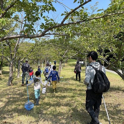 昆虫観察会~見つけよう!ときわ公園の昆虫~【7/26】