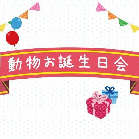 動物お誕生日会【5/3 フサオマキザル】