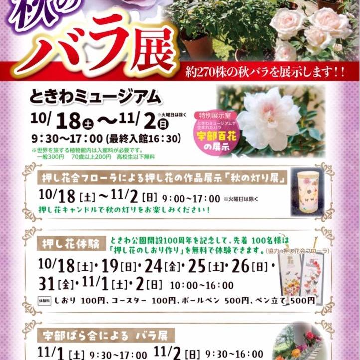 秋のバラ展