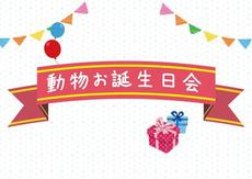 動物お誕生日会【11/1  トクモンキー】