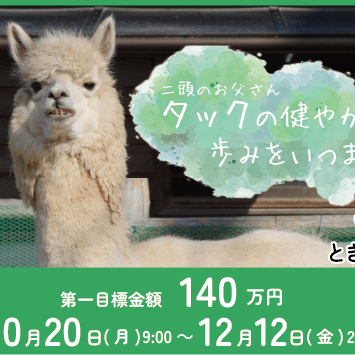 クラウドファンディングに挑戦します!【10/20~12/12】