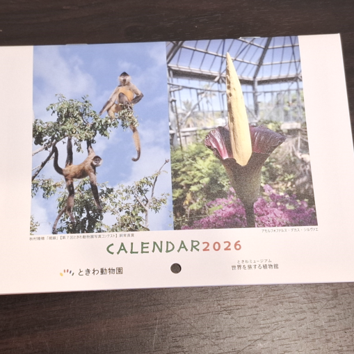 オリジナルカレンダープレゼント【1/2～4】