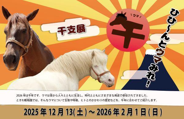 干支展「午～ひひ～んとウマみれ！～」【R7 12/13~ R8 2/1】