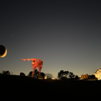 彫刻ライトアップ