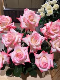 ばら接ぎ木講習会（１月１１日開催）