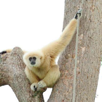 おはよう！動物ガイド【1/18】