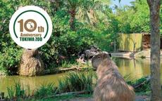 【特別展】ときわ動物園～10年のあゆみ～【3/19~5/31】