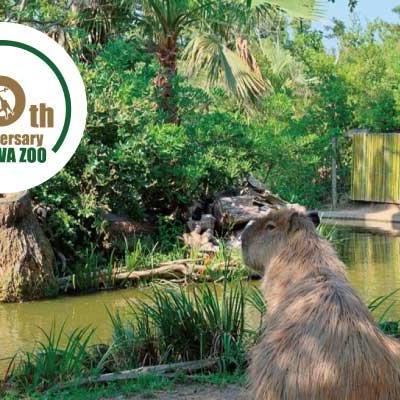 【特別展】ときわ動物園～10年のあゆみ～【3/19~5/31】