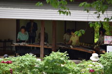 ぼたん・しゃくやくまつり