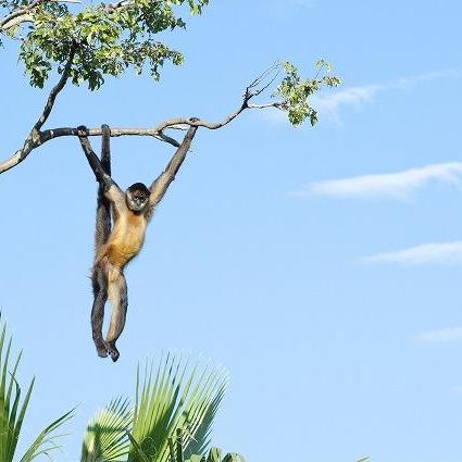 坂本園長のときわ動物園ガイドツアー【4/26】